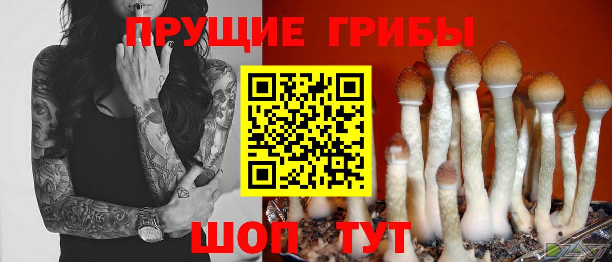 Псилоцибиновые грибы Magic Shrooms  Вход с VPN  Псилоцибиновые грибы ЛСД  Клинцы 